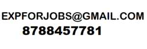 Experience Letter Provider in Pune